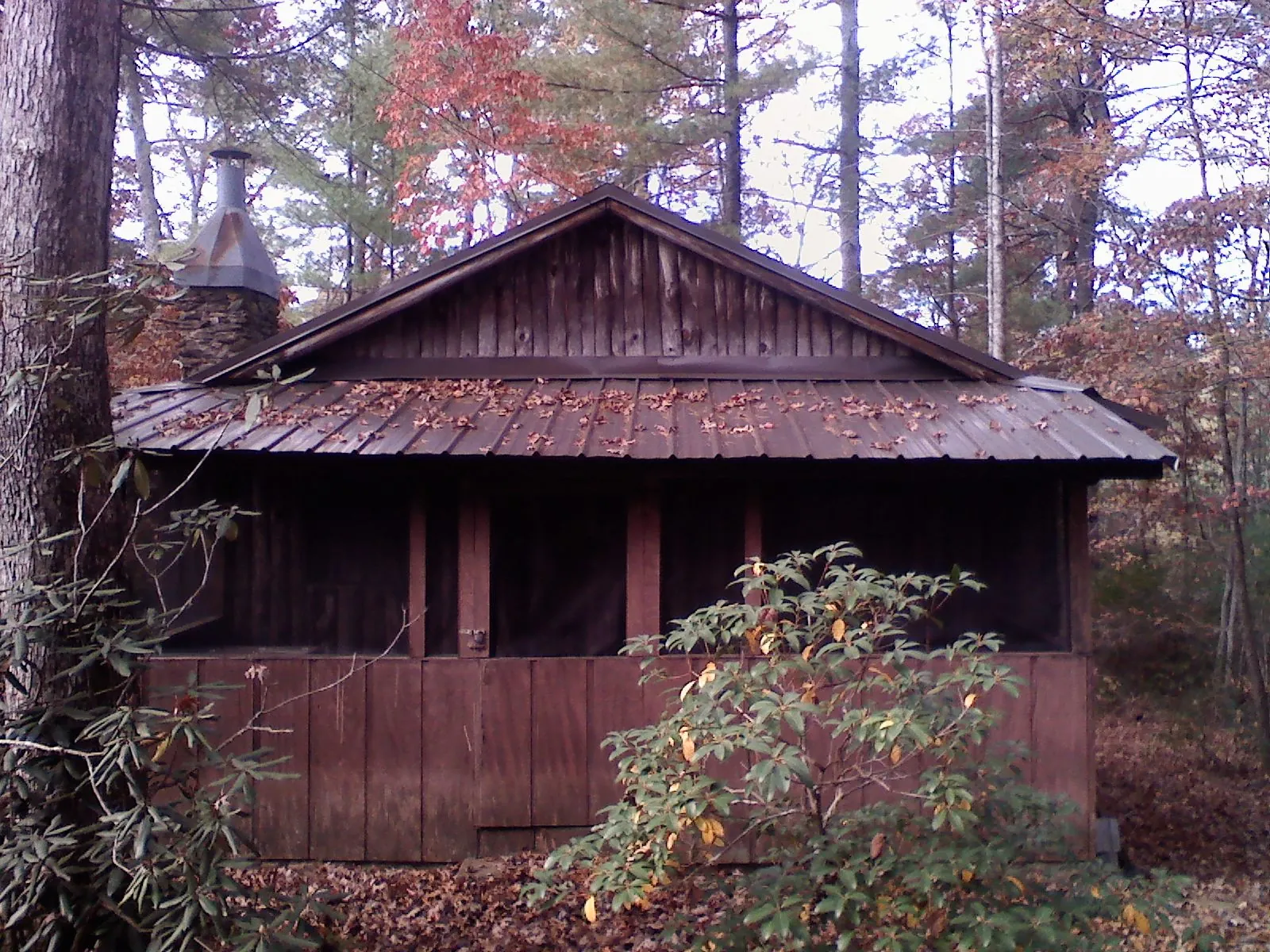 Metal roof over the screened porch of a rustic cabin in Cascade